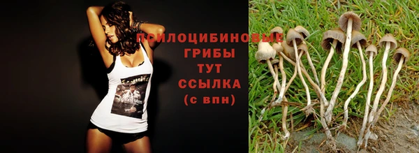 кокаин Гусев